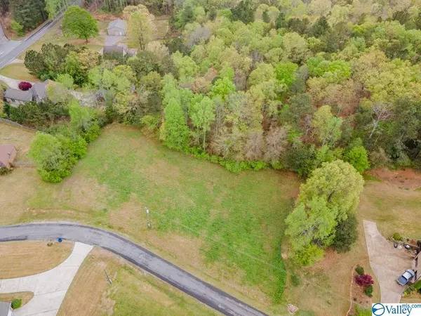 Oneonta, AL 35121,LOT 7 Allison Drive