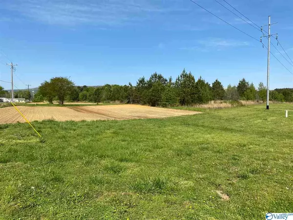 Leesburg, AL 35983,0 La Rue Finis