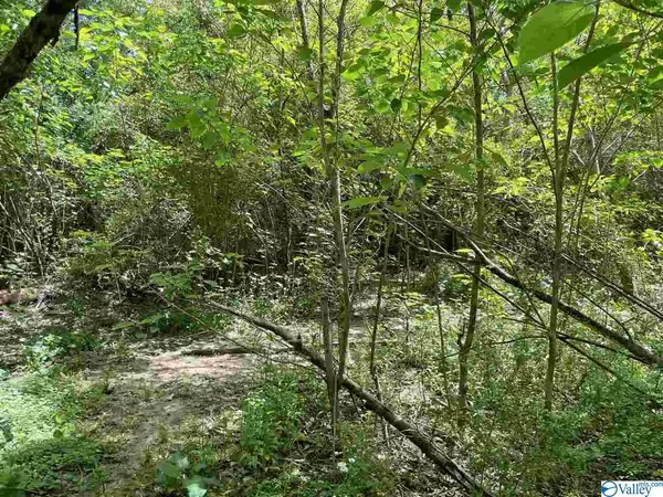 Crane Hill, AL 35053,9453 County Road 946