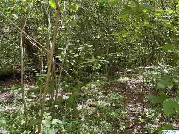 Crane Hill, AL 35053,9453 County Road 946