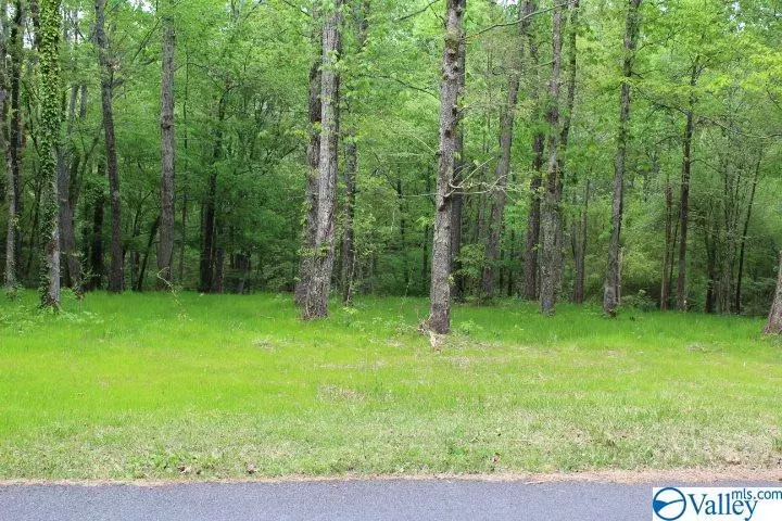 Arab, AL 35016,Lot 10 Pine Lake Trail NW