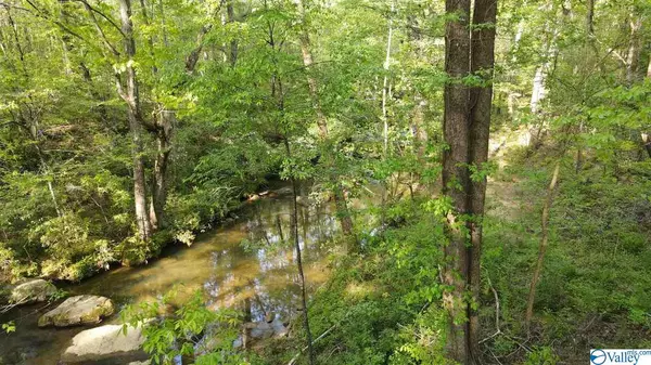 Arab, AL 35016,Lot 10 Pine Lake Trail NW