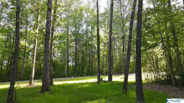 Arab, AL 35016,Lot 10 Pine Lake Trail NW