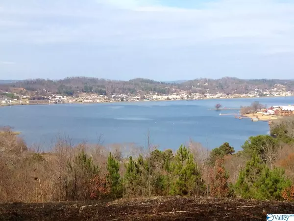 Woodvue Road,  Guntersville,  AL 35976
