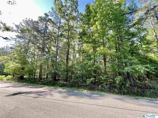 Rainbow City, AL 35906,00 Chelsea Lane