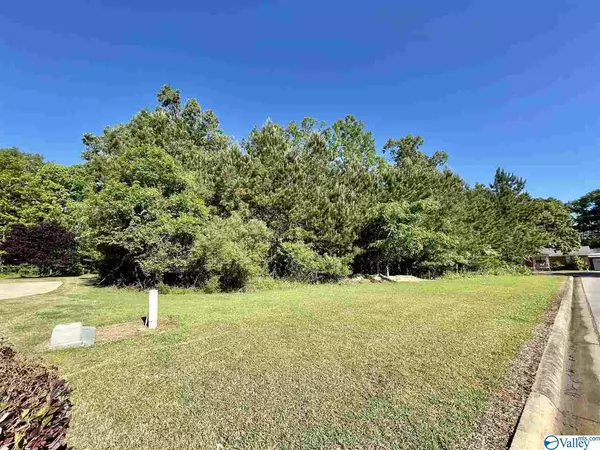 Rainbow City, AL 35906,00 Chelsea Lane