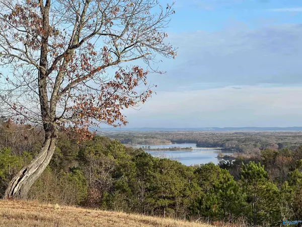 LOT 56 County Road 767, Cedar Bluff, AL 35959