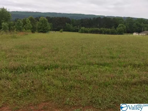 Leesburg, AL 35983,0 Highway 411