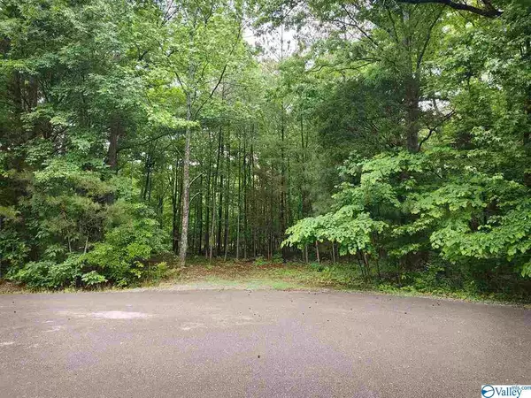Lot 9 Block 6 Korgan Avenue, Laceys Spring, AL 35754