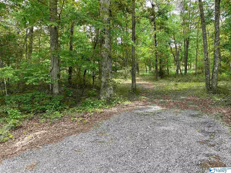 Bear Creek Road, Fort Payne, AL 35967