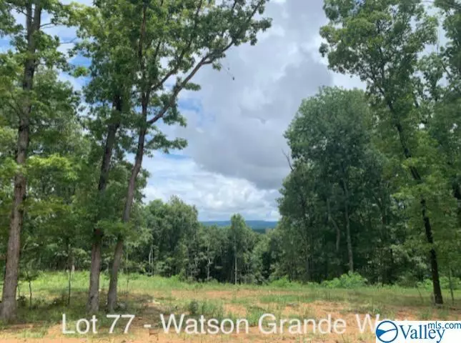Owens Cross Roads, AL 35763,44 Watson Grande Way