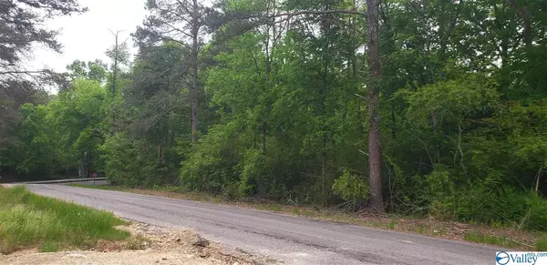 County Road 52, Section, AL 35771