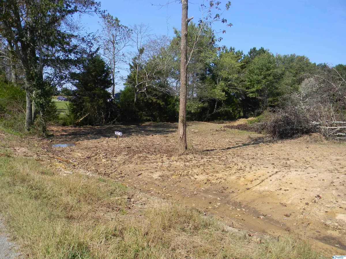 Sand Rock, AL 35959,Tract # 4 B County Road 142