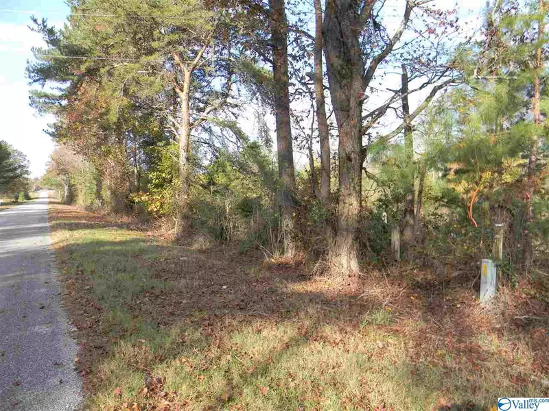 Tract # 6 B County Road 142, Sand Rock, AL 35959