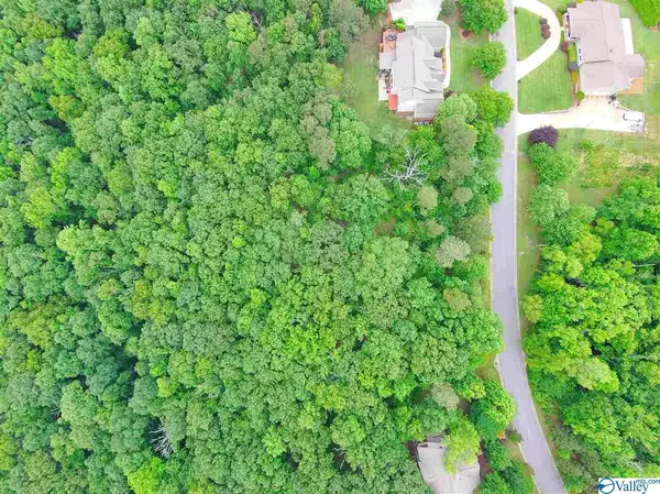 Huntsville, AL 35803,Lot 9 Valley Vista Drive