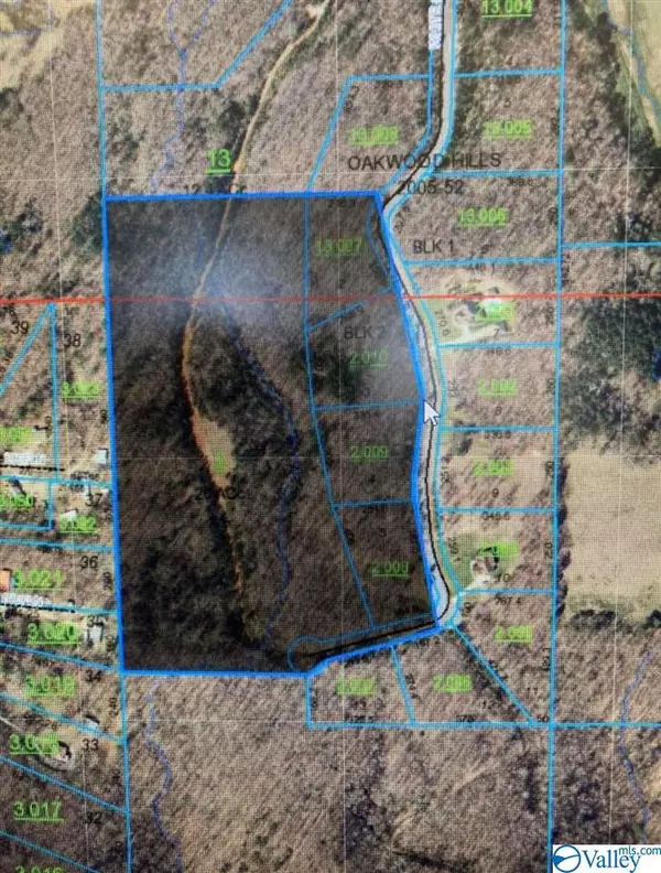 000 White Owl Drive, Ashville, AL 35983