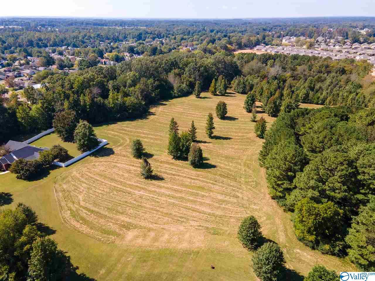 Madison, AL 35757,1542 Balch Road