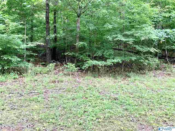 0.34 acres Shady Lane, Fort Payne, AL 35967