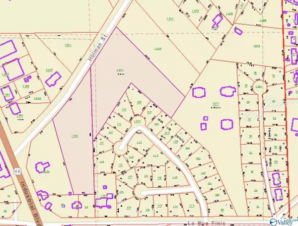 Leesburg, AL 35983,00 Holman Street