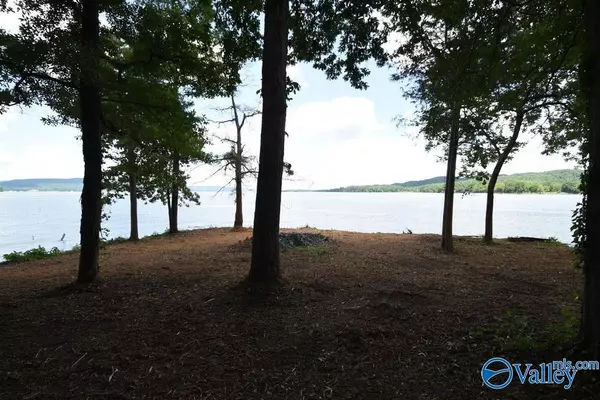 Guntersville, AL 35976,191  (Lot 8) Polaris Drive