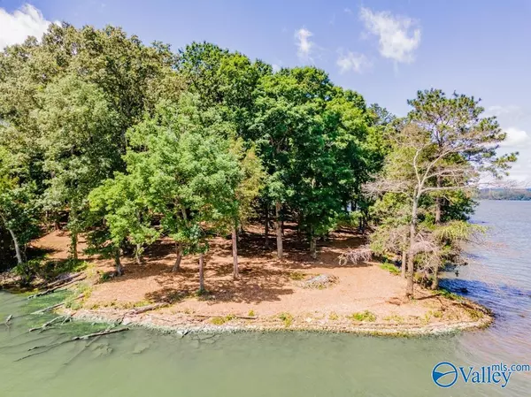 Guntersville, AL 35976,191  (Lot 8) Polaris Drive