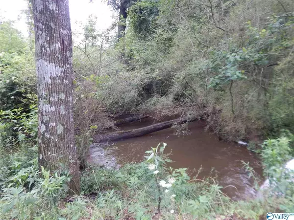 Grove Oak, AL 35975,2203 County Road 411