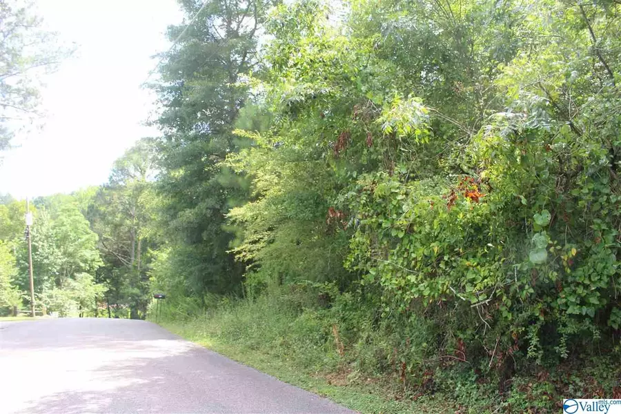 lot 119 Honeycomb Valley Road, Grant, AL 35747