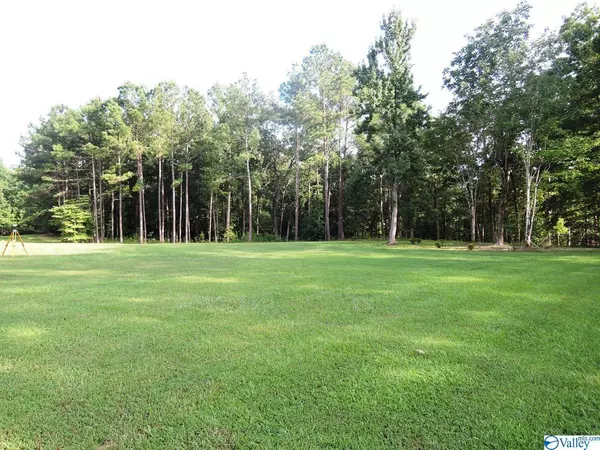 Crane Hill, AL 35053,353 County Road 182