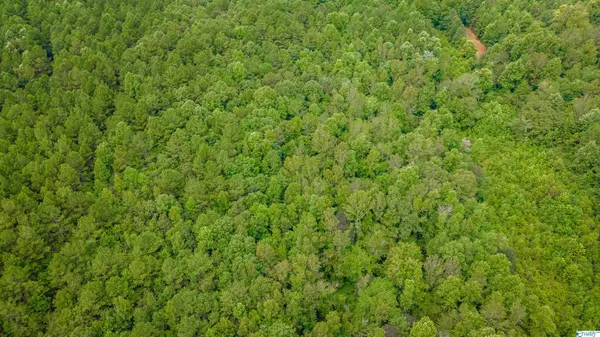 Delta, AL 36258,2885 Mckay Road