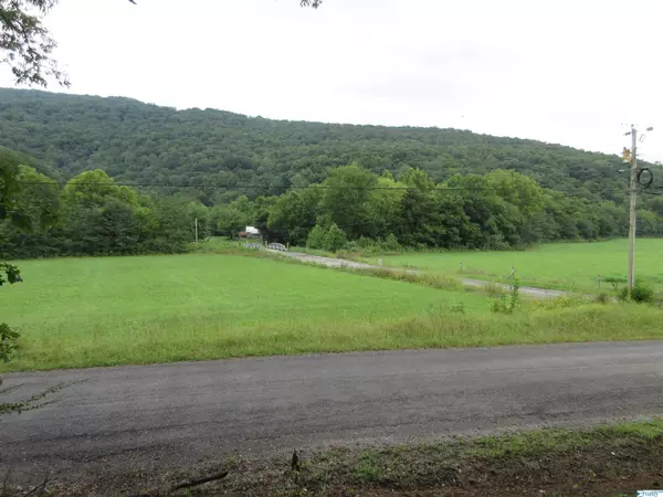 Estill Fork, AL 35745,44 County Road 175