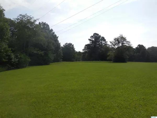 0 Hayes Street, Hartselle, AL 35640