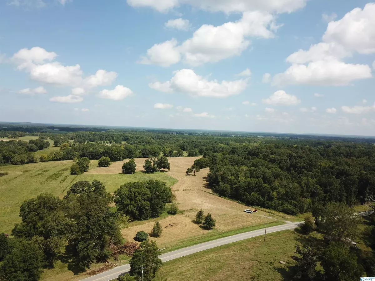 Danville, AL 35619,0000 Hwy 55