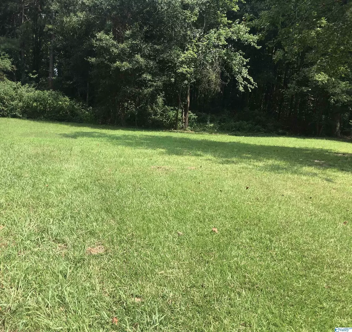 Arab, AL 35016,Lot 2 Benton Lane