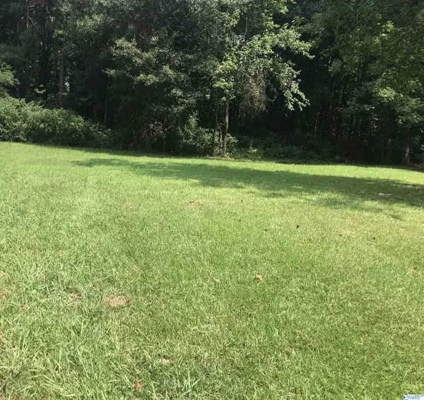 Lot 2 Benton Lane, Arab, AL 35016