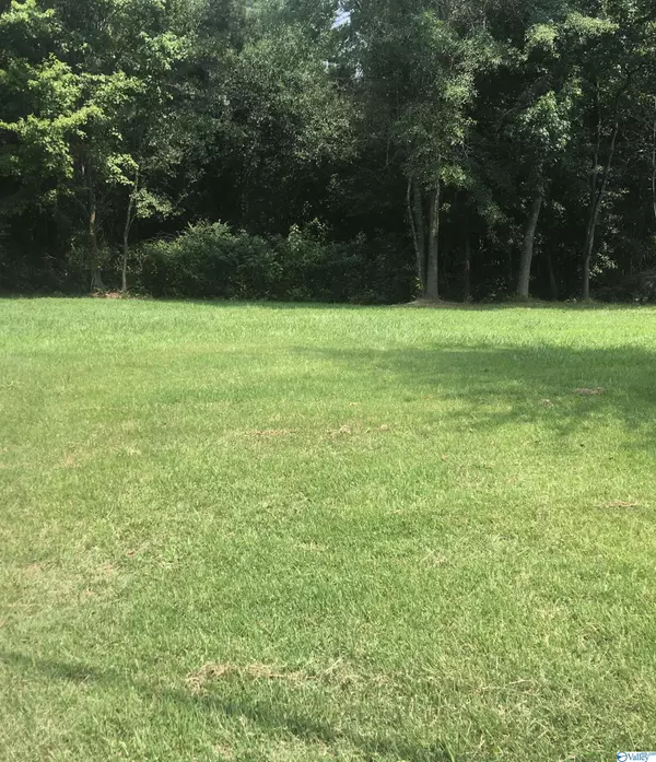 Lot 3 Benton Lane, Arab, AL 35016