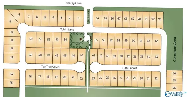 Hazel Green, AL 35750,229 Tobin Lane