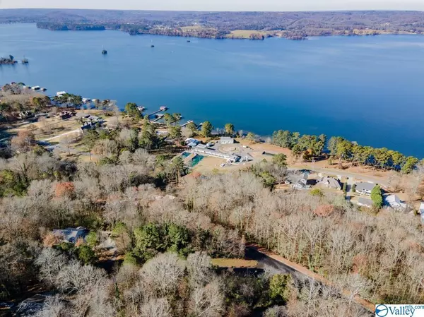 Guntersville, AL 35976,41 Amber Lane