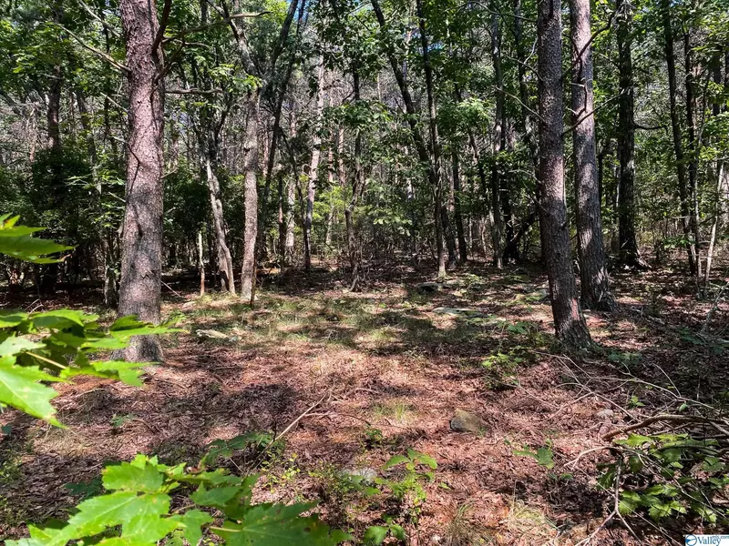 0 Old Rocky Trail #I-3, Rising Fawn, GA 30738
