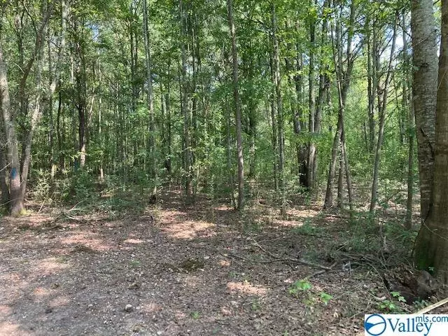 Lot 144 Spring Creek Campground, Centre, AL 35960