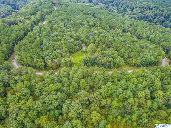 Addison, AL 35540,Lot 9 Turkey Bend Drive