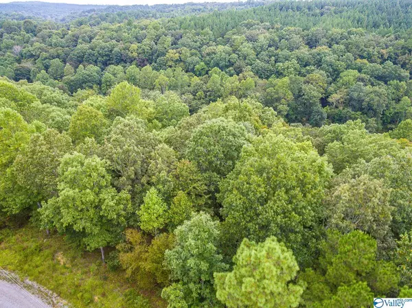 Lot 9 Turkey Bend Drive, Addison, AL 35540