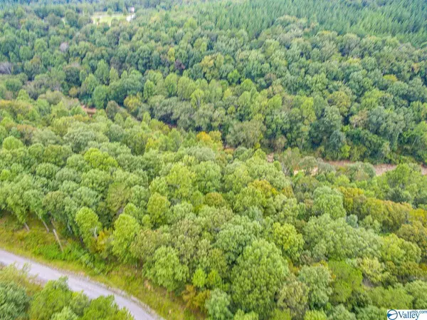 Addison, AL 35540,Lot 9 Turkey Bend Drive