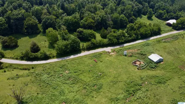 Prospect, TN 38477,Lot 3 Goresville Road