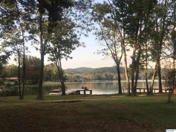 Cedar Bluff, AL 35959,255 County Road 646