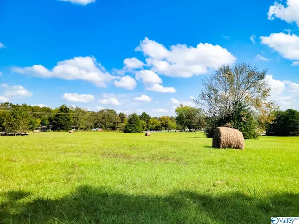 194 County Road 449, Town Creek, AL 35672