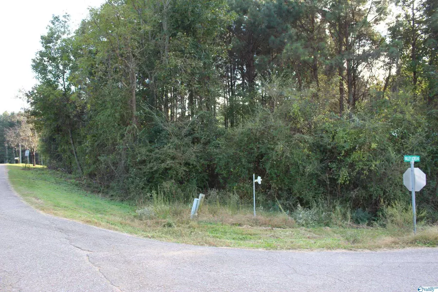 970 Valley Acres Road, Leesburg, AL 35983