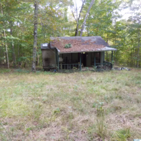0 County Road 401, Paint Rock, AL 35764