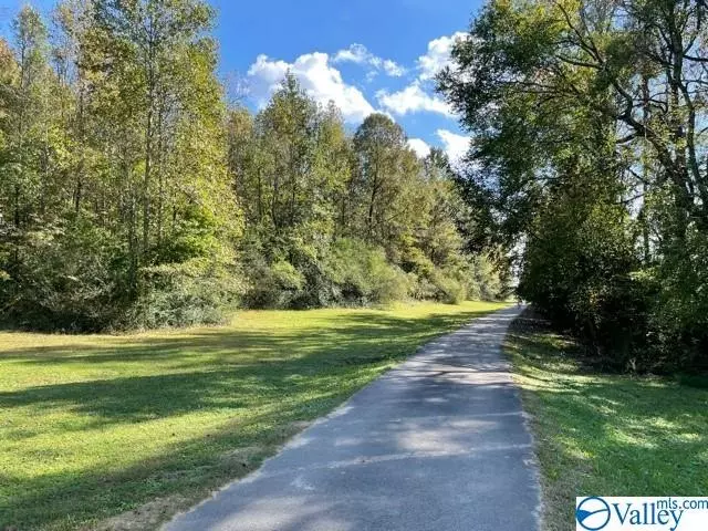 00 County Road 38, Hanceville, AL 35077