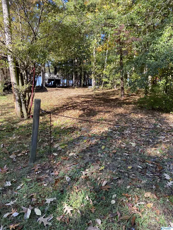 Cedar Bluff, AL 35959,Lot 42B County Road 667