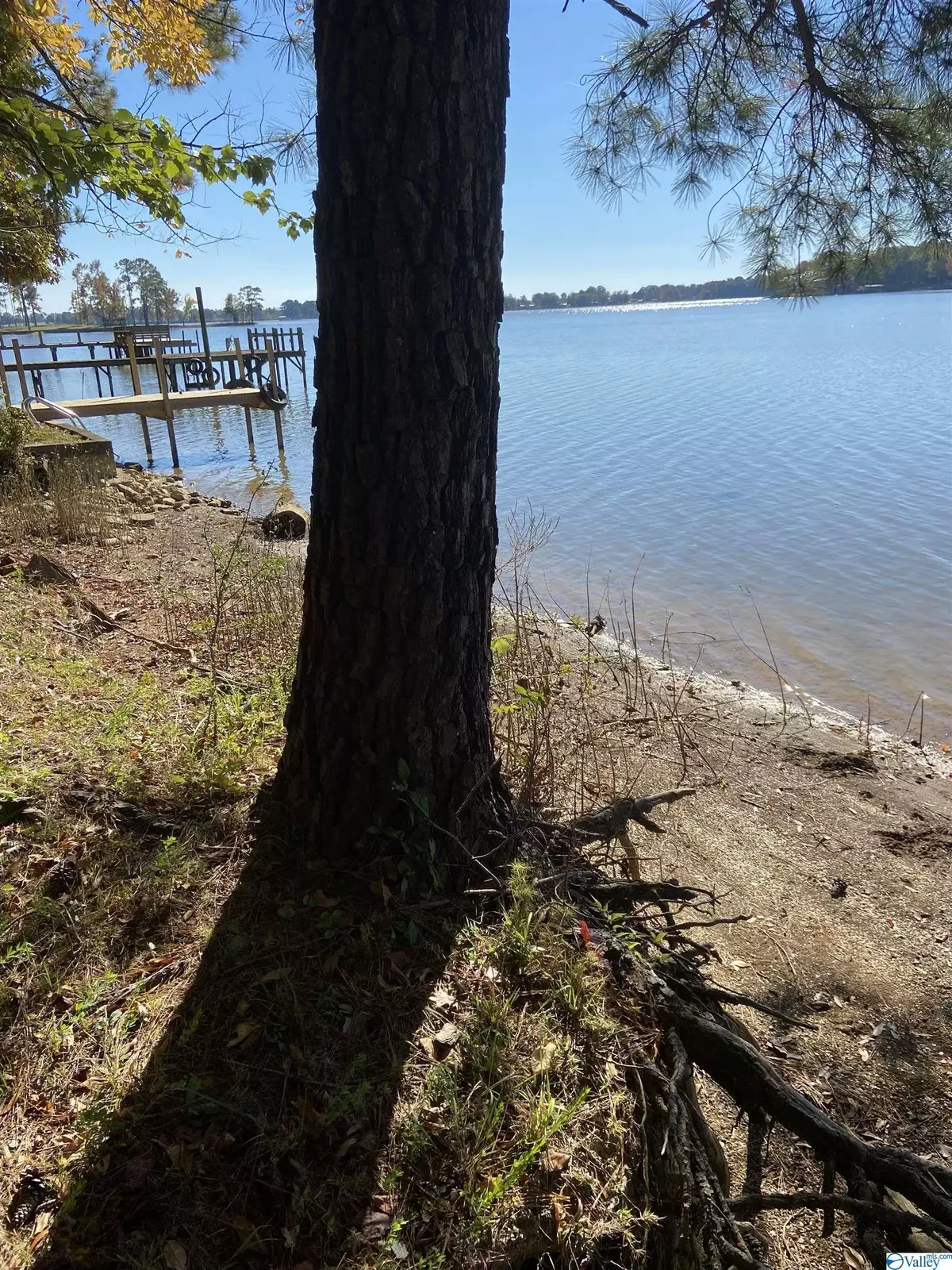 Cedar Bluff, AL 35959,Lot 42B County Road 667